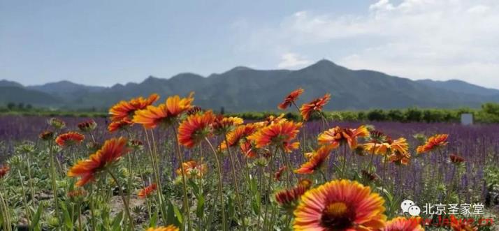 信仰旅程|当端午节遇到圣神降临节