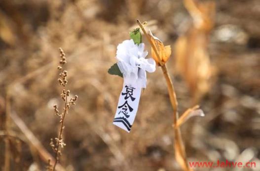 信仰旅程|神父的父亲是我们所有神父的父亲