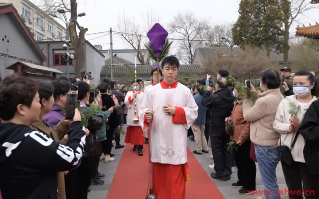 北京北堂 ｜圣枝主日